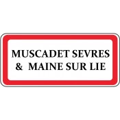 Muscadet Sèvres & Maine sur Lie (1)