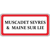 Muscadet Sèvres & Maine sur Lie (0)