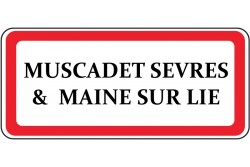Muscadet Sèvres & Maine sur Lie