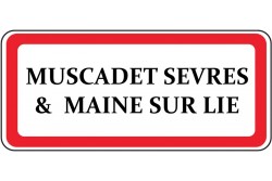 Muscadet Sèvres & Maine sur Lie
