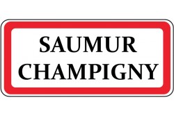 Saumur Champigny