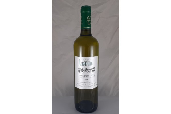 Bordeaux - Blanc - Entre Deux Mers - Chateau Larmevaille - 12° - 2020 - 75cl